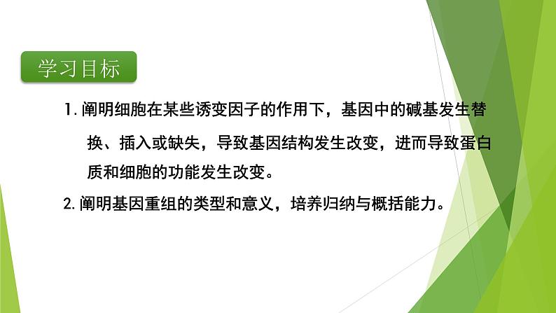 专题8 基因突变与基因重组-备战2022年高考生物复习专题精品课件第4页