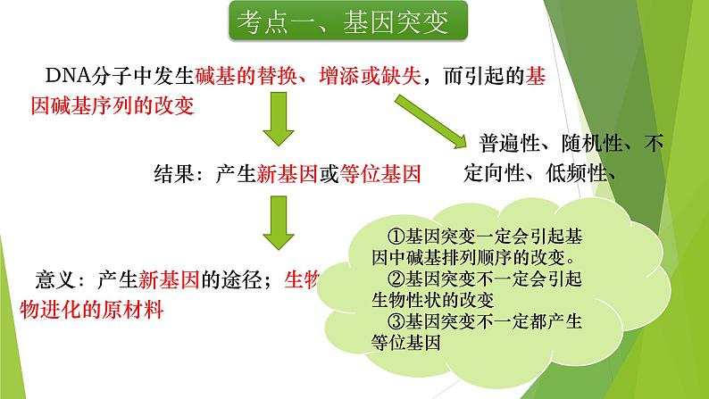 专题8 基因突变与基因重组-备战2022年高考生物复习专题精品课件第6页