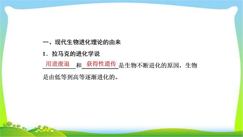 人教版高考生物总复习7.4现代生物进化理论完美课件PPT第4页