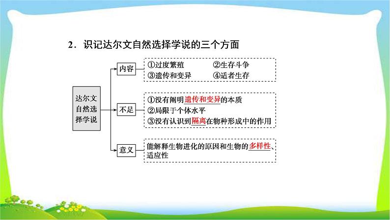 人教版高考生物总复习7.4现代生物进化理论完美课件PPT第5页