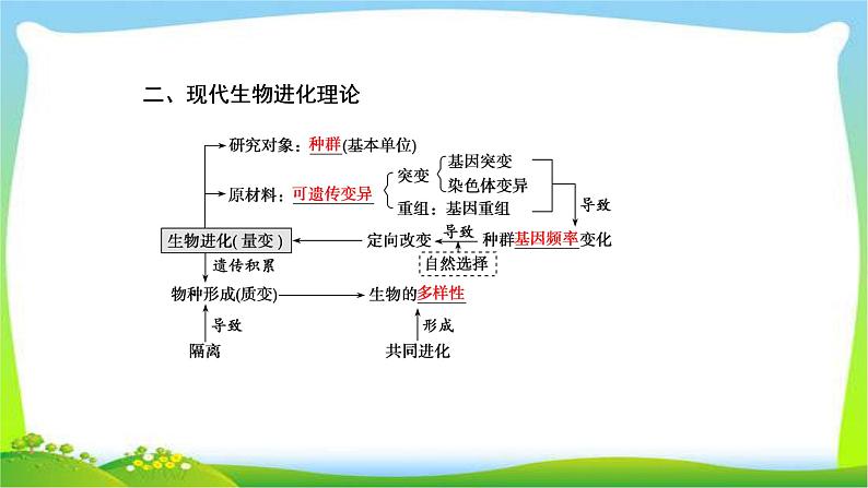 人教版高考生物总复习7.4现代生物进化理论完美课件PPT第6页