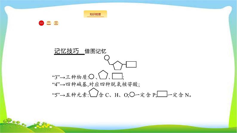 人教版高考生物总复习7.2DNA分子的结构和复制完美课件PPT第3页