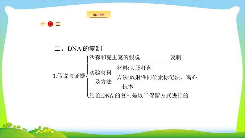 人教版高考生物总复习7.2DNA分子的结构和复制完美课件PPT第4页