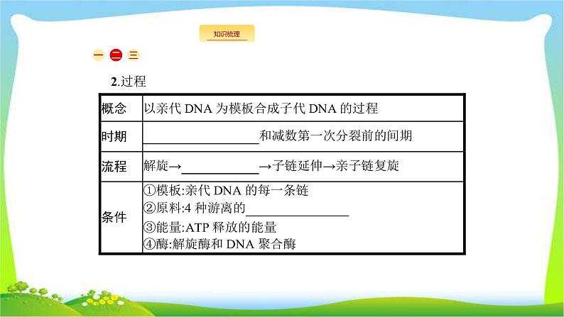 人教版高考生物总复习7.2DNA分子的结构和复制完美课件PPT第5页