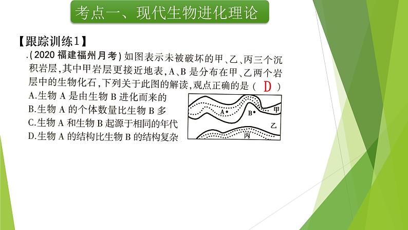 专题10 生物的进化-备战2022年高考生物复习专题精品课件第6页