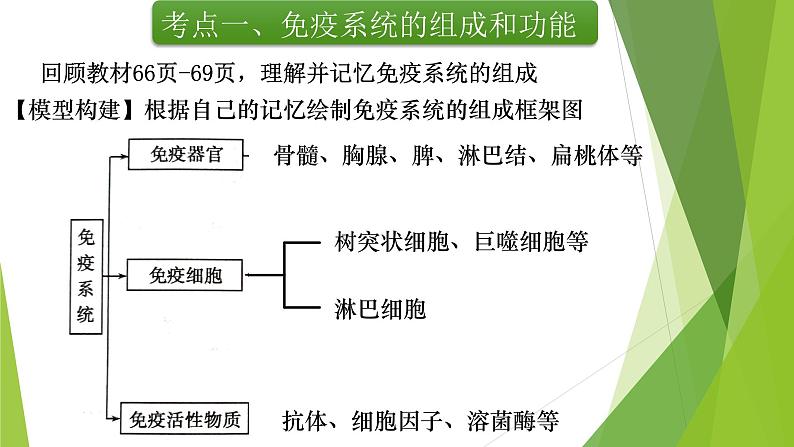 专题14 免疫调节(第一课时)-备战2022年高考生物复习专题精品课件第5页