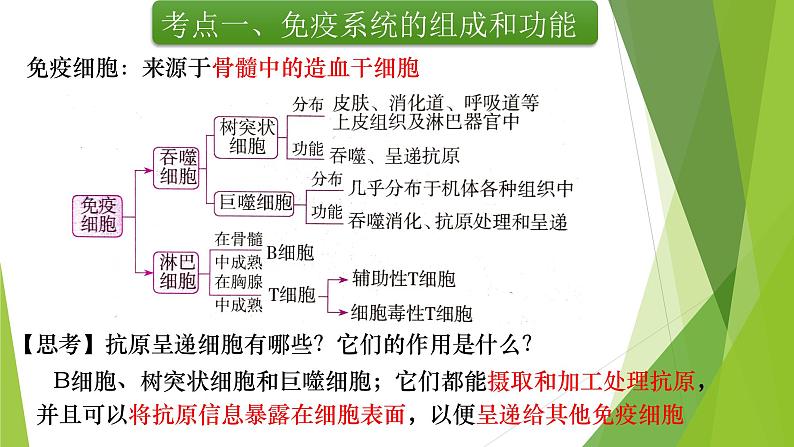 专题14 免疫调节(第一课时)-备战2022年高考生物复习专题精品课件第7页