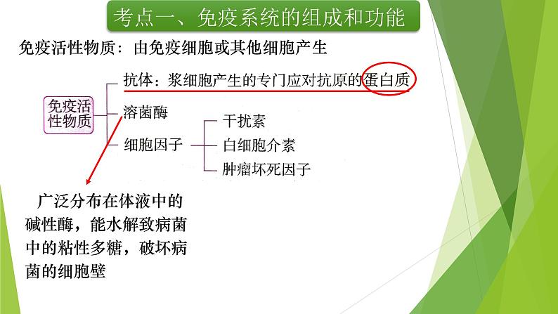 专题14 免疫调节(第一课时)-备战2022年高考生物复习专题精品课件第8页