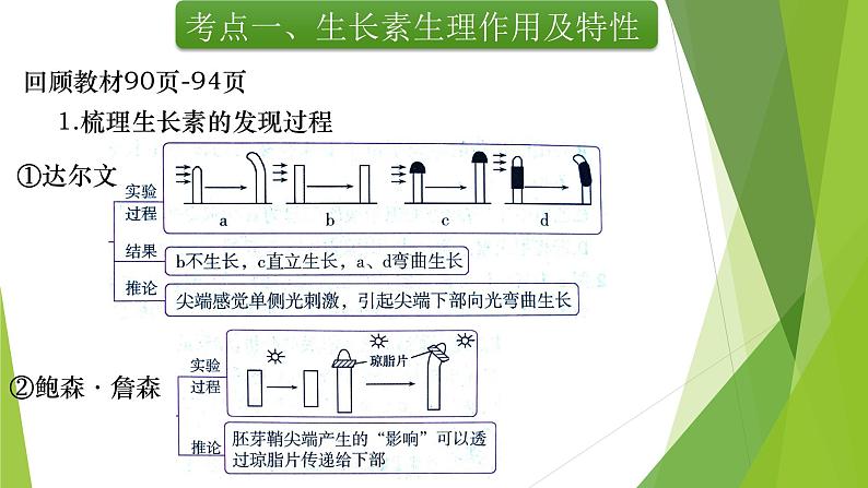 专题15 植物生命活动的调节(第一课时)-备战2022年高考生物复习专题精品课件第5页