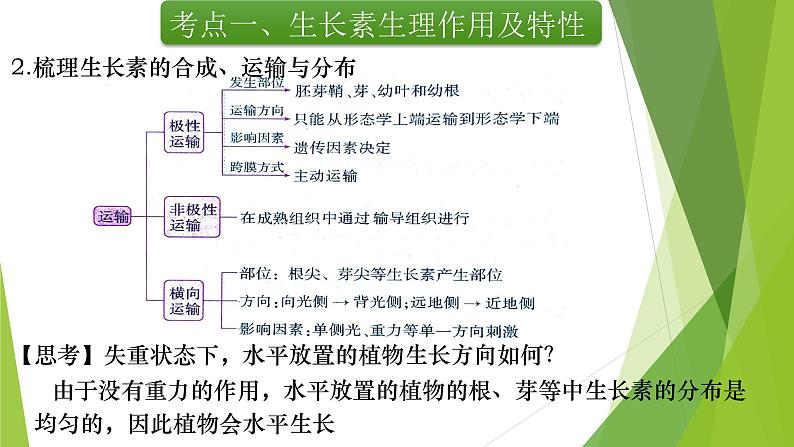 专题15 植物生命活动的调节(第一课时)-备战2022年高考生物复习专题精品课件第8页