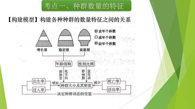 专题16 种群的数量特征-备战2022年高考生物复习专题精品课件第7页