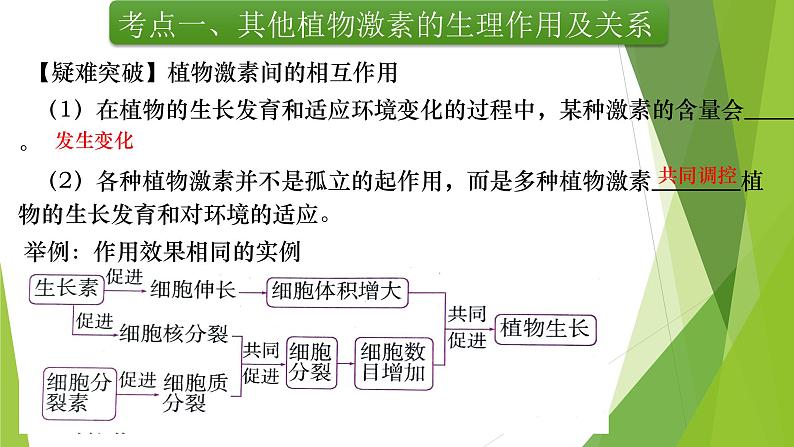 专题15 植物生命活动的调节(第二课时)-备战2022年高考生物复习专题精品课件第4页