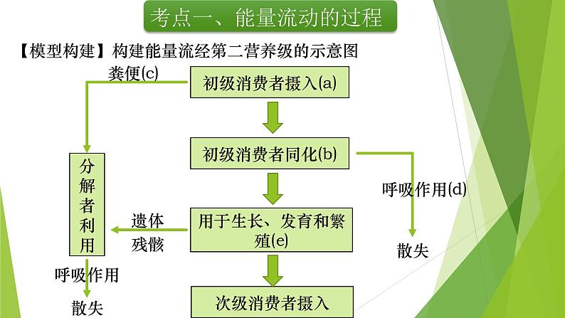 专题21 生态系统的能量流动-备战2022年高考生物复习专题精品课件第4页