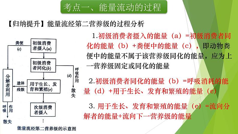 专题21 生态系统的能量流动-备战2022年高考生物复习专题精品课件第5页