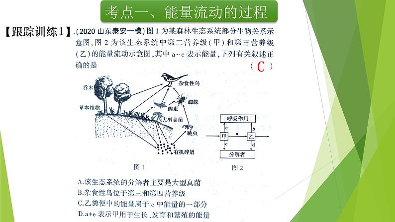 专题21 生态系统的能量流动-备战2022年高考生物复习专题精品课件第7页