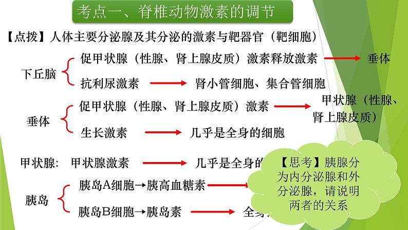 专题13 体液调节(第一课时)-备战2022年高考生物复习专题精品课件第6页