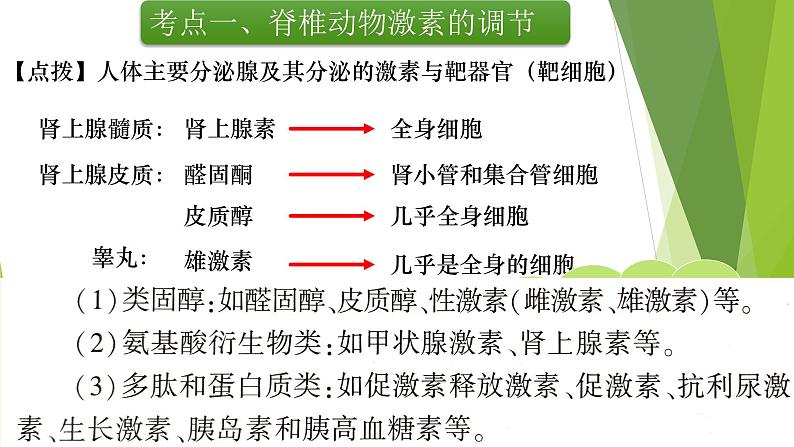 专题13 体液调节(第一课时)-备战2022年高考生物复习专题精品课件第7页