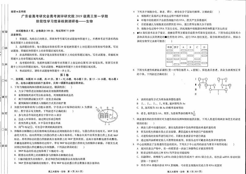 2022届广东省高考研究会测评研究院高三生物上学期阶段性学习效率检测调研卷 PDF01