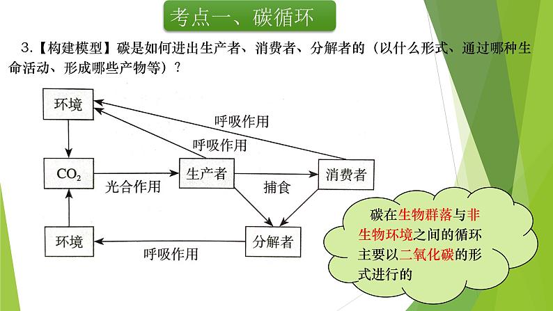 专题22 生态系统的物质循环-备战2022年高考生物复习专题精品课件第4页