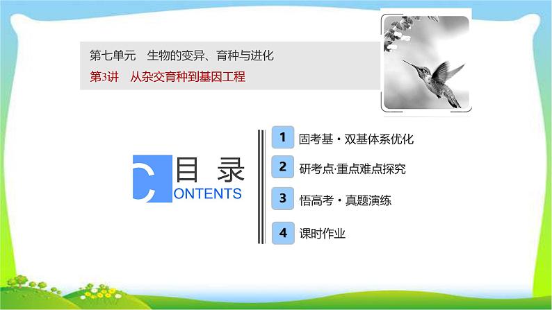 人教版高考生物总复习7.3从杂交育种到基因工程完美课件PPT第1页