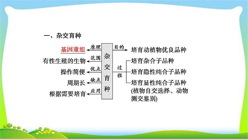 人教版高考生物总复习7.3从杂交育种到基因工程完美课件PPT第4页