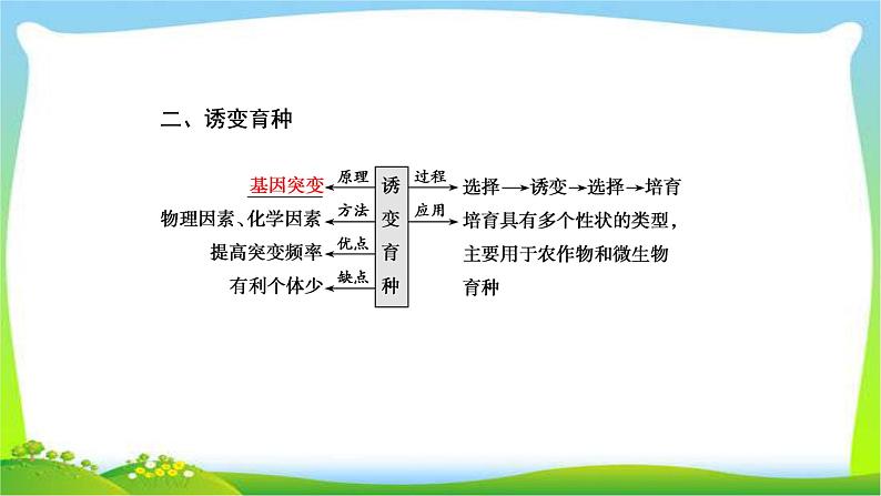 人教版高考生物总复习7.3从杂交育种到基因工程完美课件PPT第5页