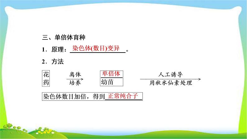 人教版高考生物总复习7.3从杂交育种到基因工程完美课件PPT第6页
