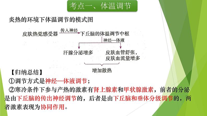 专题13 体液调节(第二课时)-备战2022年高考生物复习专题精品课件第5页