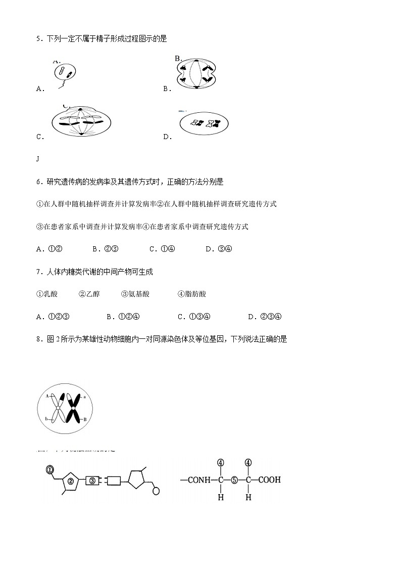 上海市金山区2021届高三上学期期末质量监控（一模）（12月）生物试题 Word版含答案02