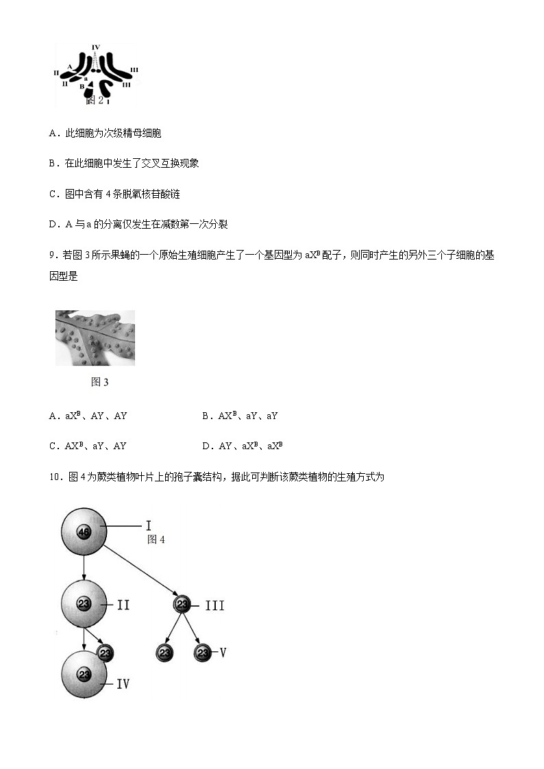 上海市金山区2021届高三上学期期末质量监控（一模）（12月）生物试题 Word版含答案03
