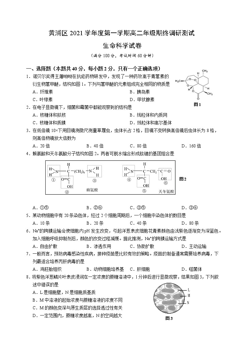 2022届上海黄浦区高三(高二)生物一模卷 含答案01