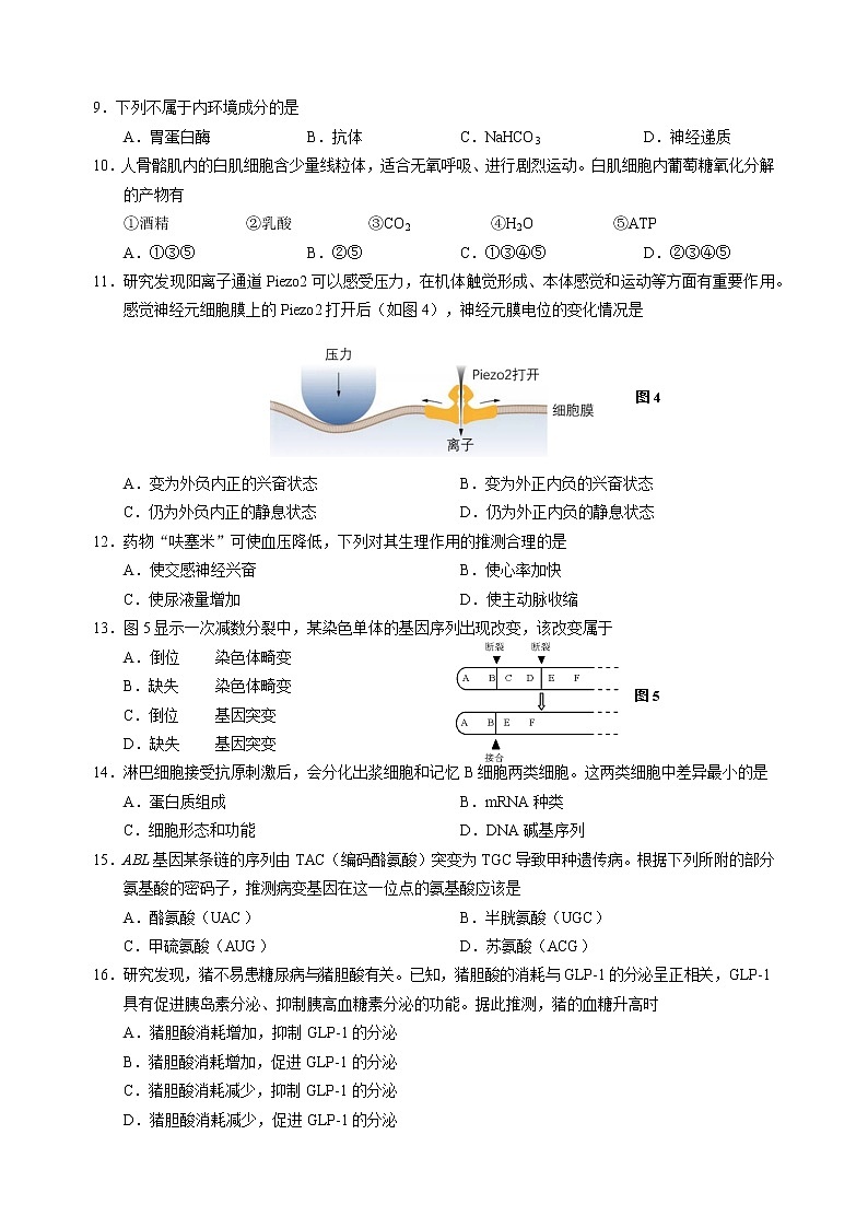 2022届上海黄浦区高三(高二)生物一模卷 含答案02