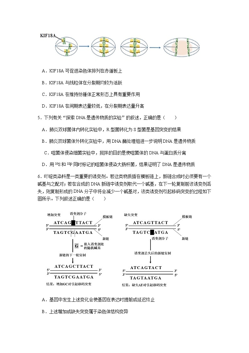 江苏省南京市、盐城市2021届高三下学期3月第二次模拟考试生物试题 Word版含答案02