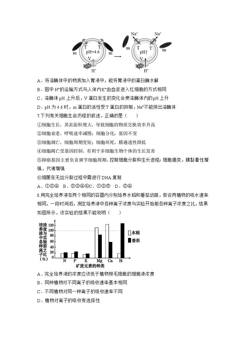 河南省重点高中2021-2022学年高三上学期阶段性调研联考二生物含答案第3页