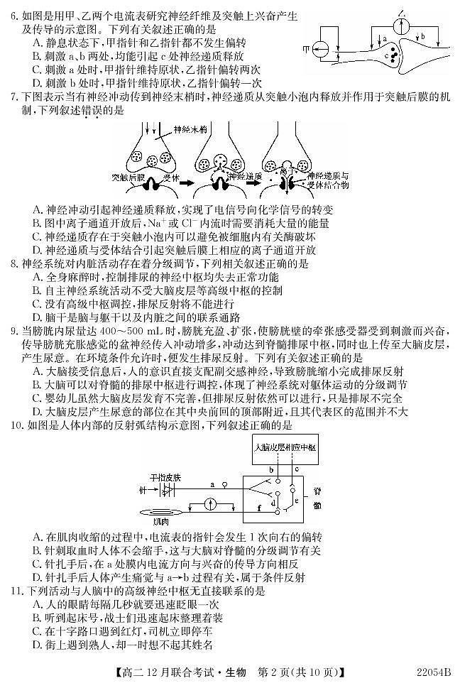 黑龙江省牡丹江地区四校2021-2022学年高二上学期12月联合考试生物PDF版含答案02