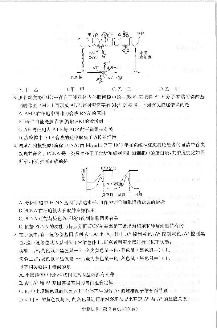 （湖南版）八省八校2021-2022学年高三上学期第一次联考生物试卷(pdf版含解析)02