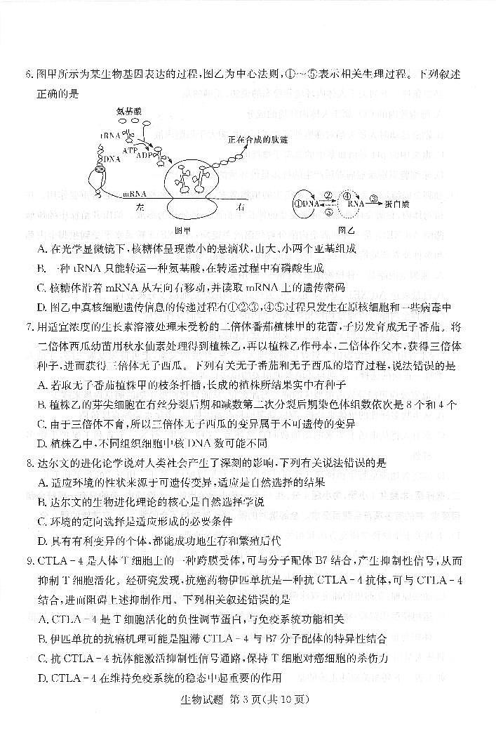 （湖南版）八省八校2021-2022学年高三上学期第一次联考生物试卷(pdf版含解析)03