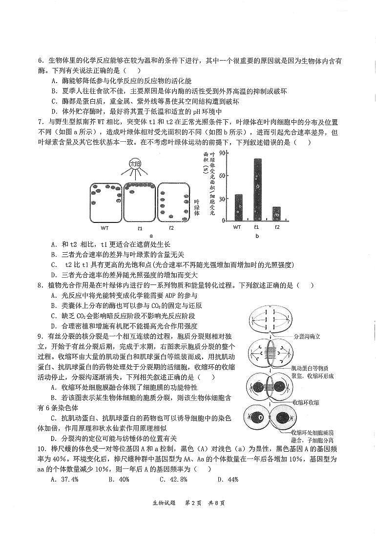 2022届八省八校（T8联考）生物试题及答案第2页