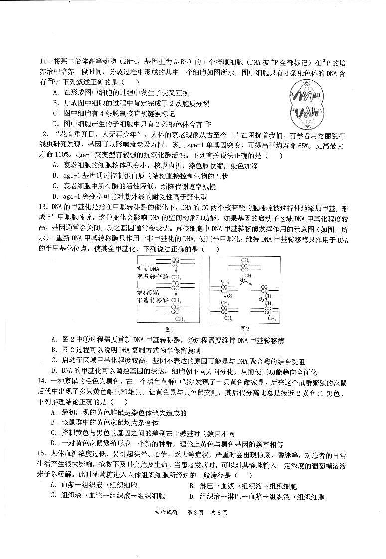 2022届八省八校（T8联考）生物试题及答案第3页