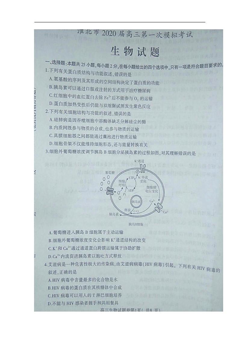 安徽省淮北市2020届高三第一次模拟考试生物试卷含答案01