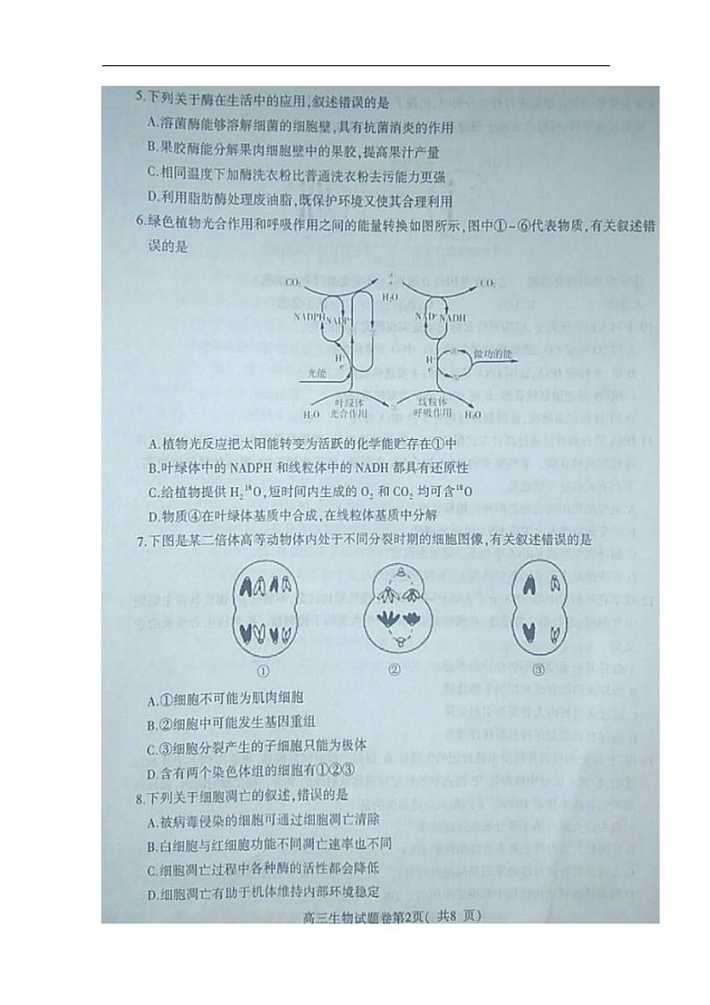 安徽省淮北市2020届高三第一次模拟考试生物试卷含答案02