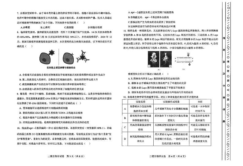 天津市河东区2021届高三下学期5月第二次模拟测试生物试题 扫描版含答案02
