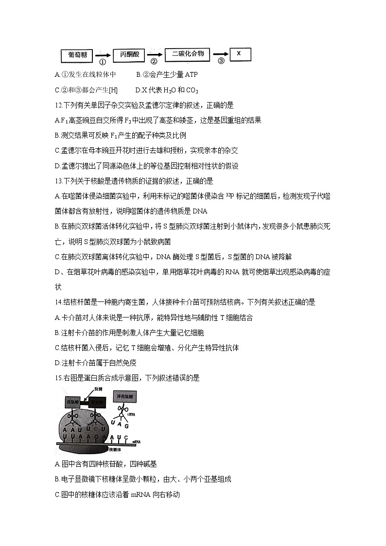浙江省宁波市2020届高三适应性考试（二模）生物试题 Word版含答案第3页