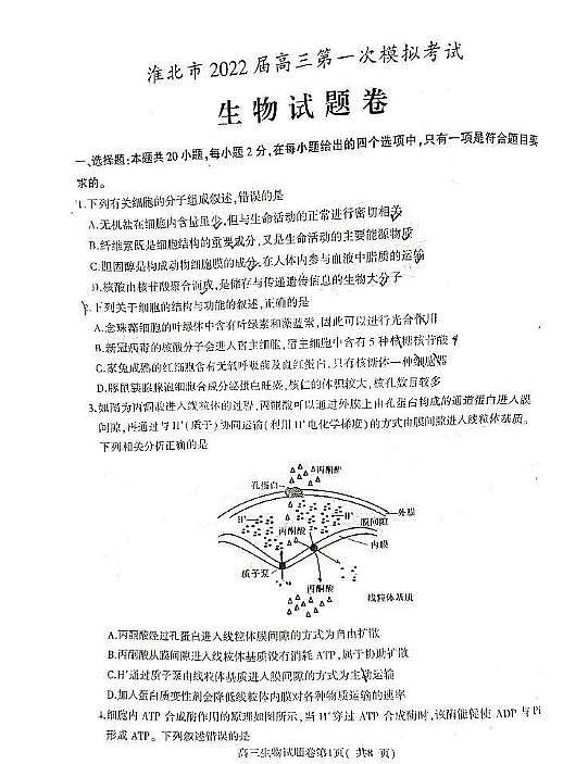 安徽省淮北市2021-2022学年高三上学期第一次模拟考试生物试题  无答案01