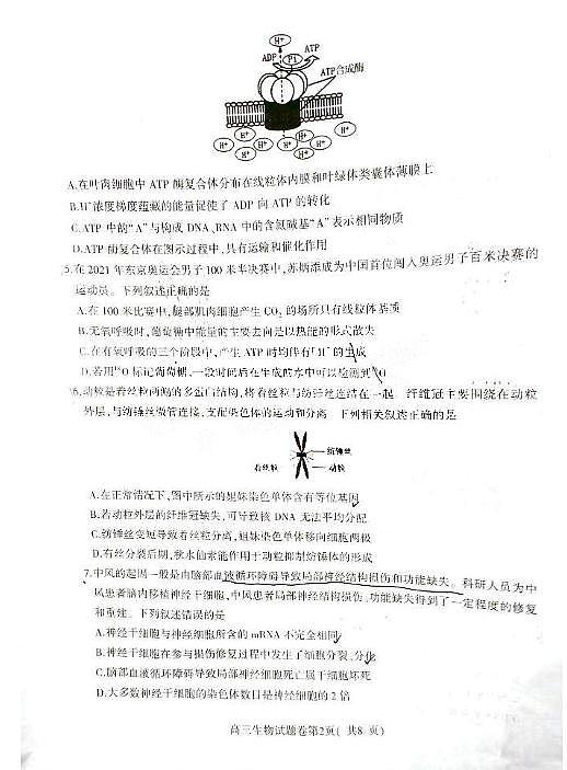 安徽省淮北市2021-2022学年高三上学期第一次模拟考试生物试题  无答案02
