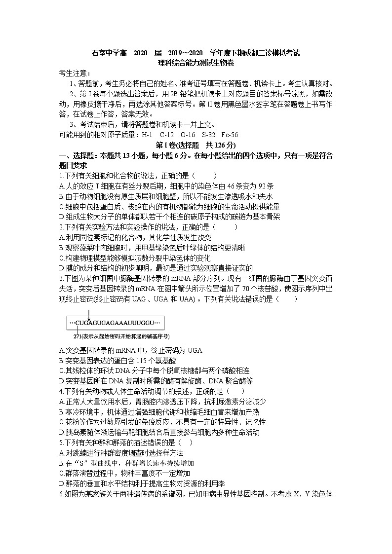 四川省成都市石室中学2020届高三下学期二诊模拟考试生物试题 Word版含答案第1页