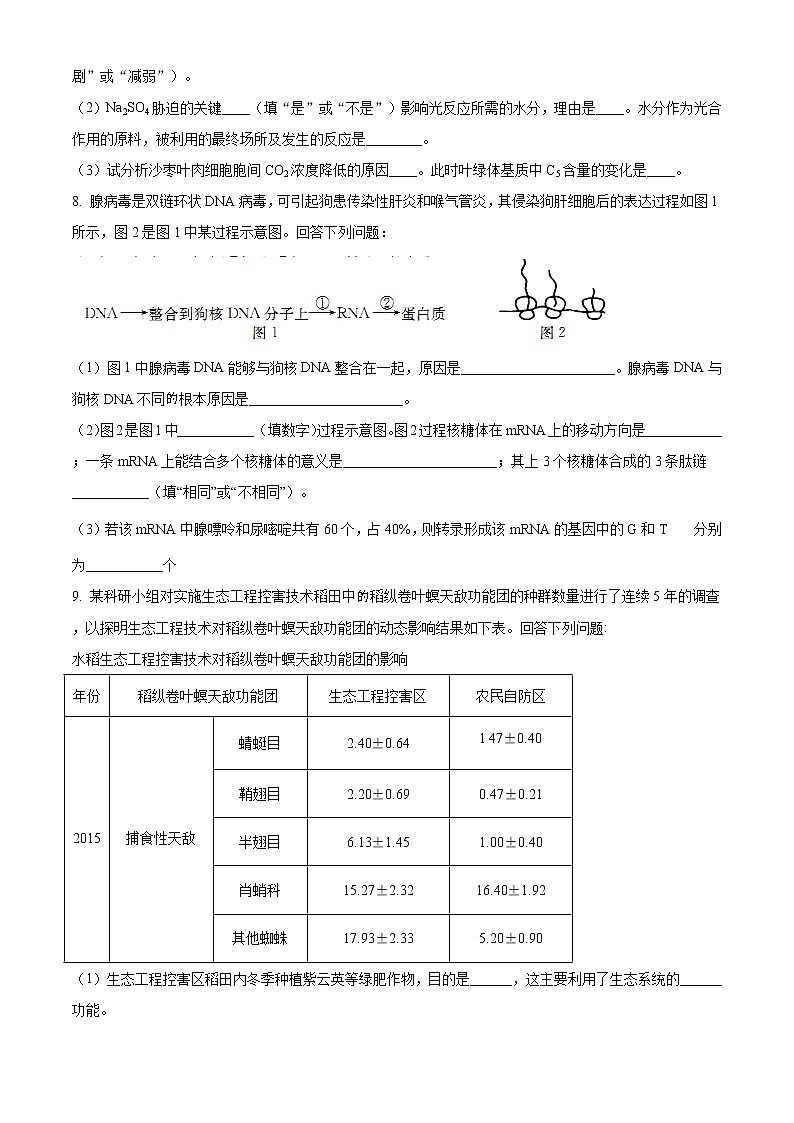 2020届广西北海市高三第一次模拟理综生物试题03