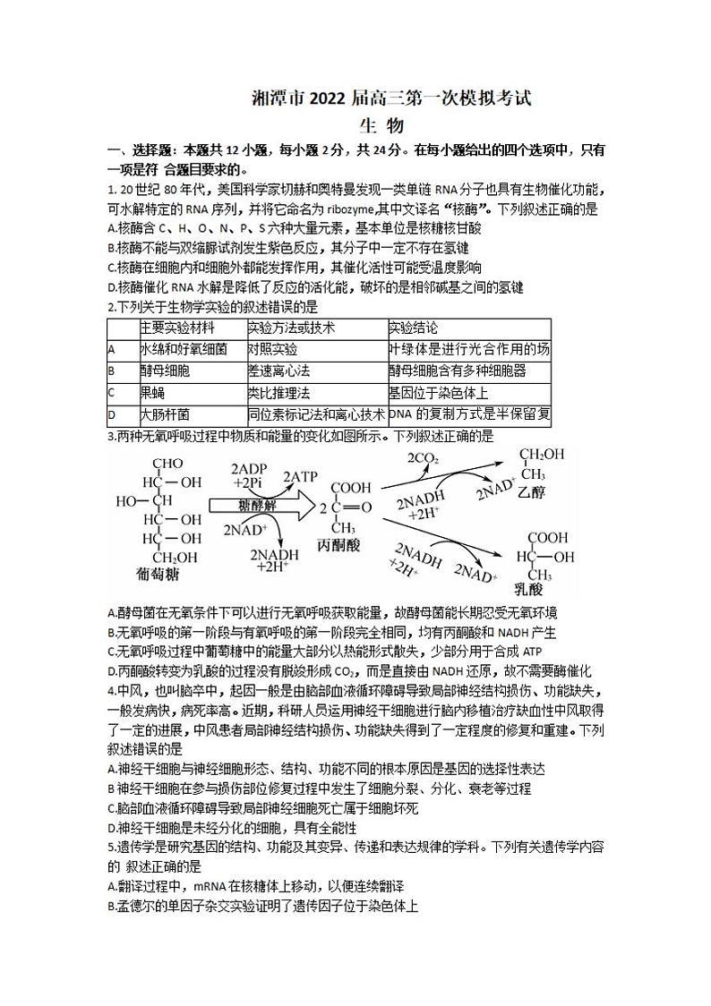 湖南省湘潭市2022届高三上学期9月第一次模拟考试生物试题含答案01