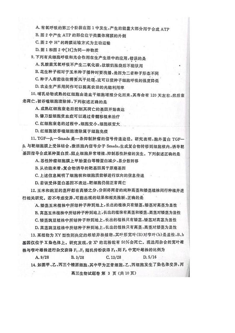 河南省郑州市2022届高三上学期第一次质量预测（一模）（1月）生物PDF版含答案第3页