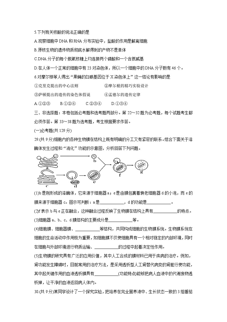 四川省资阳市2022届高三上学期第一次诊断考试 生物 Word版含答案练习题第2页